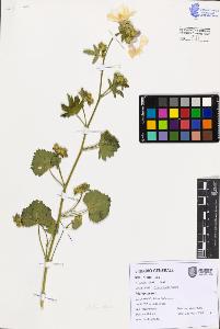 SW_BNB_s3080-07694_IMG-0000000001