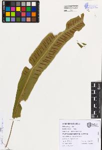 SW_BNB_s3080-07722_IMG-0000000001