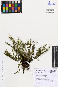 SW_BNB_s3080-07726_IMG-0000000001
