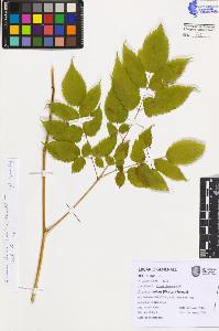 SW_BNB_s3080-07728_IMG-0000000001
