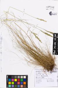 SW_BNB_s3080-07747_IMG-0000000001