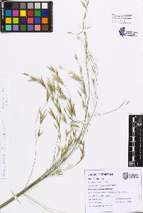 SW_BNB_s3080-07748_IMG-0000000001