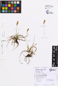 SW_BNB_s3080-07750_IMG-0000000001