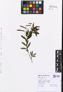 SW_BNB_s3080-07751_IMG-0000000001