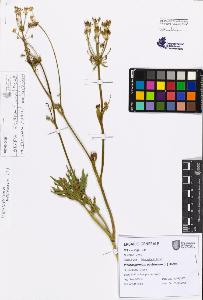 SW_BNB_s3080-07754_IMG-0000000001