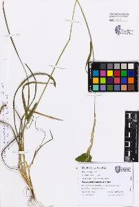 SW_BNB_s3080-07759_IMG-0000000001