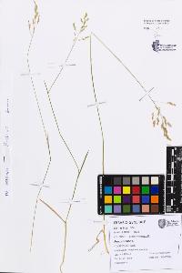 SW_BNB_s3080-07760_IMG-0000000001