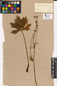 SW_BNB_s3090-00118_IMG-0000000001