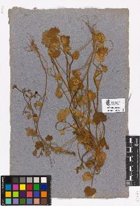 SW_BNB_s3090-00133_IMG-0000000001