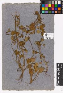 SW_BNB_s3090-00134_IMG-0000000001