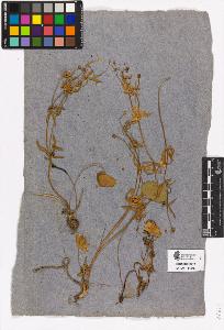SW_BNB_s3090-00146_IMG-0000000001