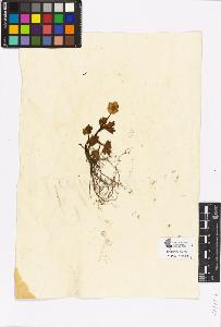 SW_BNB_s3090-00173_IMG-0000000001