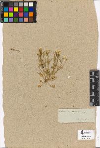 SW_BNB_s3090-00189_IMG-0000000001