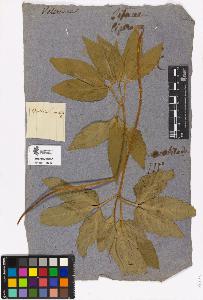 SW_BNB_s3090-00198_IMG-0000000001