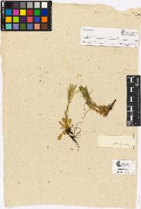 SW_BNB_s3090-00213_IMG-0000000001