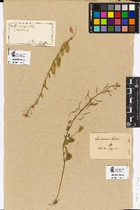 SW_BNB_s3090-00227_IMG-0000000001