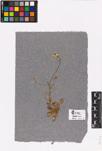 SW_BNB_s3090-00251_IMG-0000000001