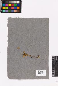 SW_BNB_s3090-00260_IMG-0000000001