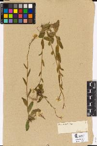 SW_BNB_s3090-00269_IMG-0000000001