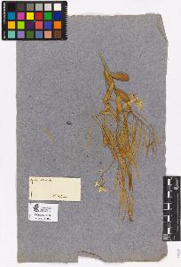 SW_BNB_s3090-00287_IMG-0000000001