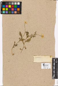SW_BNB_s3090-00339_IMG-0000000001