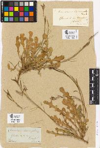 SW_BNB_s3090-00424_IMG-0000000001