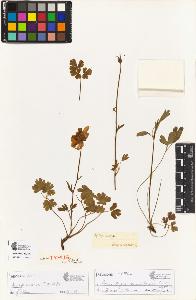SW_BNB_s3090-00464_IMG-0000000001