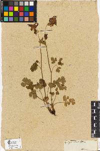 SW_BNB_s3090-00466_IMG-0000000001