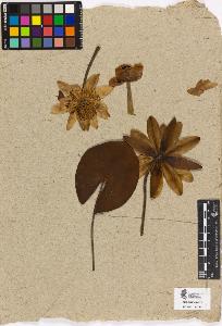 SW_BNB_s3090-00501_IMG-0000000001