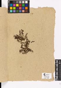 SW_BNB_s3090-00526_IMG-0000000001