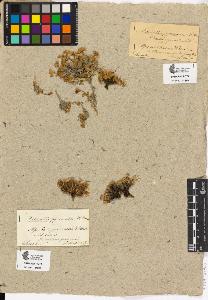 SW_BNB_s3090-00620_IMG-0000000001