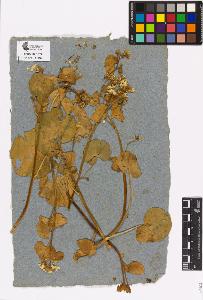 SW_BNB_s3090-00689_IMG-0000000001