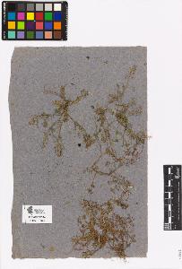 SW_BNB_s3090-00712_IMG-0000000001