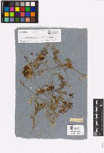 SW_BNB_s3090-00716_IMG-0000000001