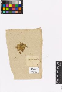 SW_BNB_s3090-00723_IMG-0000000001