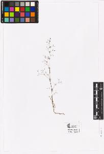 SW_BNB_s3090-00752_IMG-0000000001