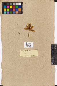 SW_BNB_s3090-00784_IMG-0000000001