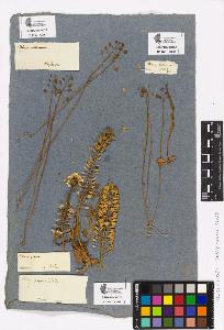 SW_BNB_s3090-00809_IMG-0000000001