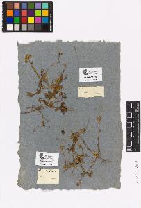 SW_BNB_s3090-00823_IMG-0000000001