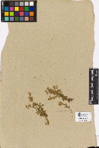 SW_BNB_s3090-00874_IMG-0000000001