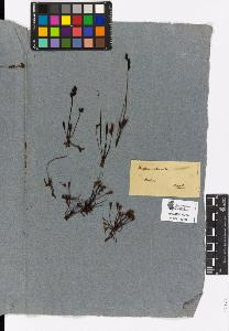 SW_BNB_s3090-00889_IMG-0000000001