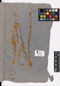 SW_BNB_s3090-00911_IMG-0000000001