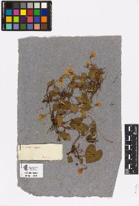 SW_BNB_s3090-00978_IMG-0000000001