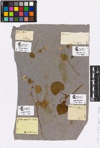 SW_BNB_s3090-00987_IMG-0000000001