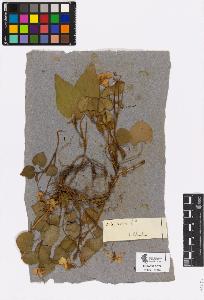 SW_BNB_s3090-00997_IMG-0000000001