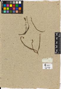 SW_BNB_s3090-01074_IMG-0000000001