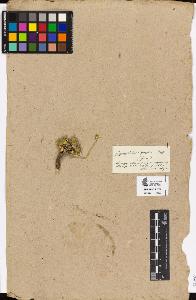 SW_BNB_s3090-01087_IMG-0000000001