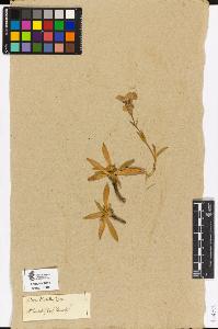 SW_BNB_s3090-01201_IMG-0000000001