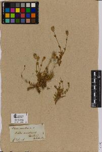 SW_BNB_s3090-01274_IMG-0000000001