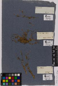SW_BNB_s3090-01283_IMG-0000000001